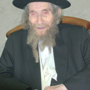 R' Aharon Leib Steinman 4